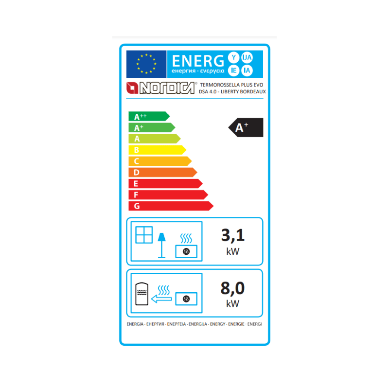 Poêle à bois bouilleur TermoRossella plus Evo DSA 4.0 11,1 kw